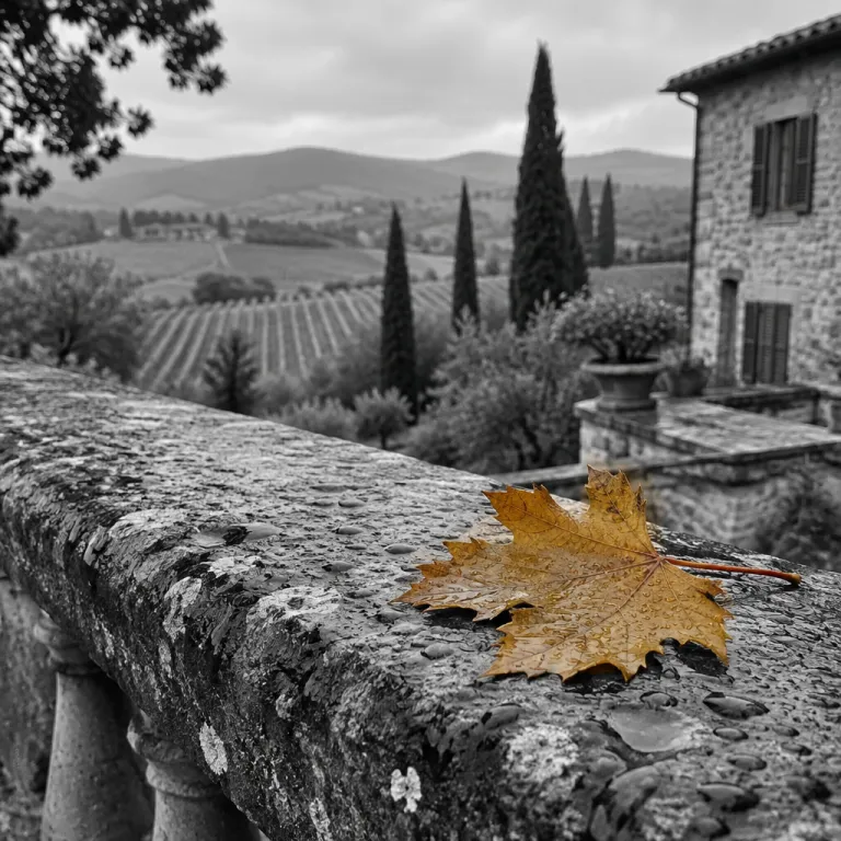 Why tuscany in the fall is the most rewarding season for your hotel stay
